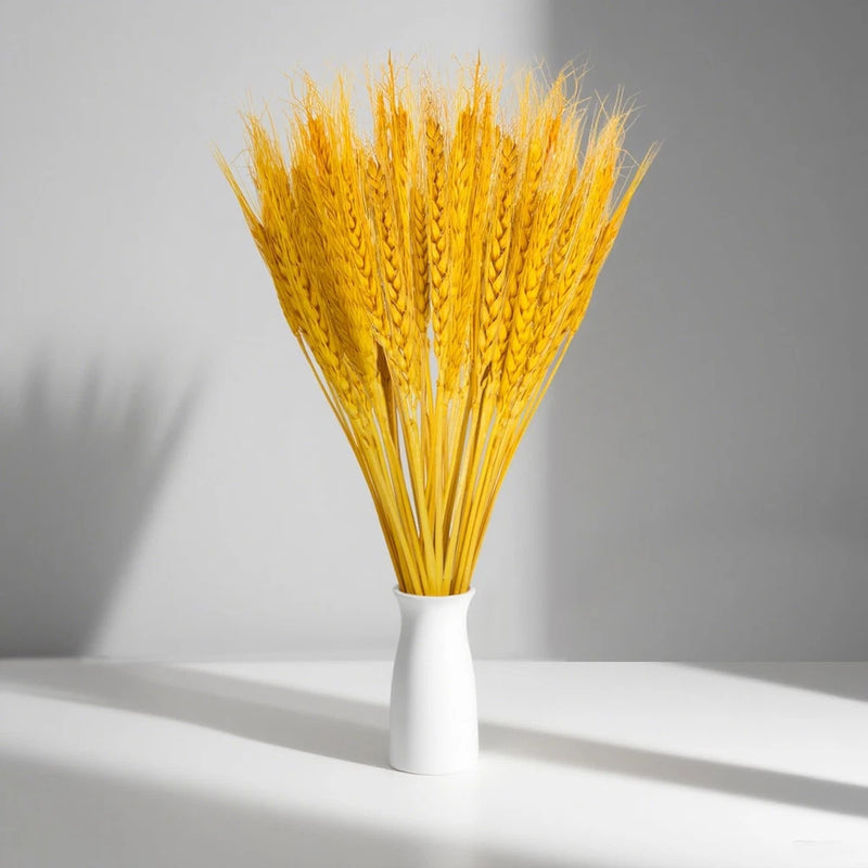 Golden dried wheat stalks bundled in a white vase for decor