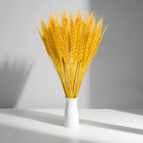 Sukh Dried Wheat Stalks for Decor Ð 50 Natural Stems Vase, Golden Dried Flower