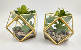 (2 PACK) 5" x 4" Artificial Succulent Plant with Brass Terrarium - Opalhouse Flowering Plants