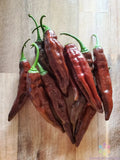25+ Aji Panca Pepper Seeds for Garden Planting - USA - FREE SHIPPING! Garden Plants