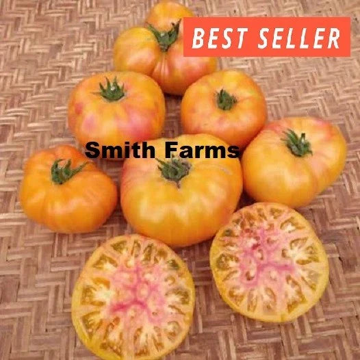 50+ Seeds Dwarf Suz's Beauty Tomato Easy Vegetable Garden Planting Edible Garden Plants