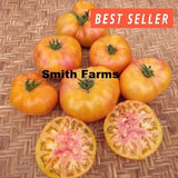 50+ Seeds Dwarf Suz's Beauty Tomato Easy Vegetable Garden Planting Edible Garden Plants
