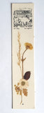 Fort Augustus Abbey Bookmark  Inverness Dried Pressed Flowers Scotland Souvenir Dried Flower