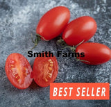 50+ Seeds Amish Paste Tomato Juicy Easy to Grow Vegetable Garden Planting Garden Plants