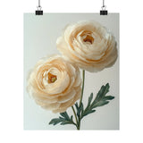 Boho Cream Ranunculus Flower Art Print Poster, Minimalist Floral Wall Art 4 Ranunculus