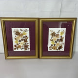 Framed Dried Pressed Flowers Vintage Signed 9x12 Inches Set Of 2 Dried Flower