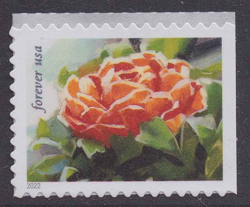US 5736 Snowy Beauty Ranunculus F single MNH 2022 Ranunculus