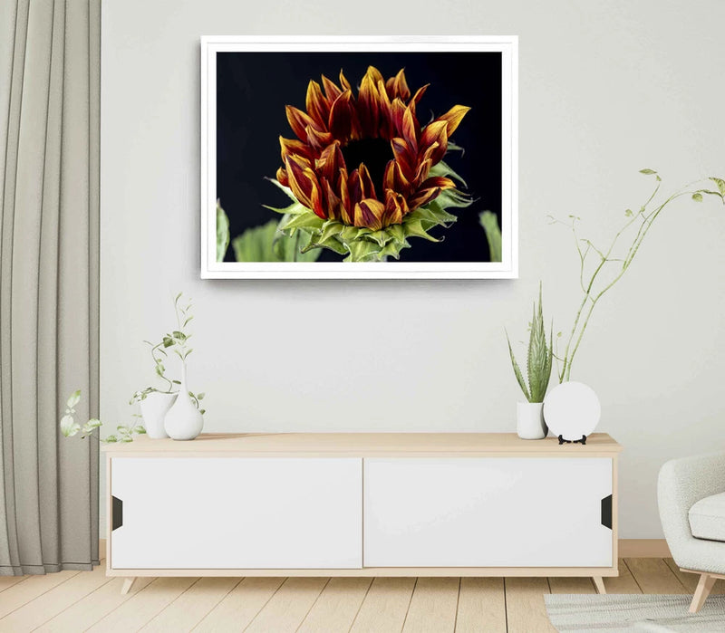Framed sunflower flower print wall art with bold orange and yellow blooms