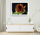 Sunflower Print, Flower Plant Wall Art, Closeup Shot Framed Nature Wall Art Sunflower