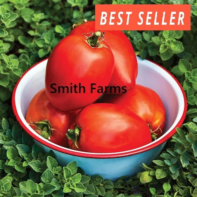 50+ Seeds Amish Paste Tomato Hybrid Juicy Easy to Grow Vegetable Garden Planting Garden Plants