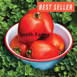 50+ Seeds Amish Paste Tomato Hybrid Juicy Easy to Grow Vegetable Garden Planting Garden Plants