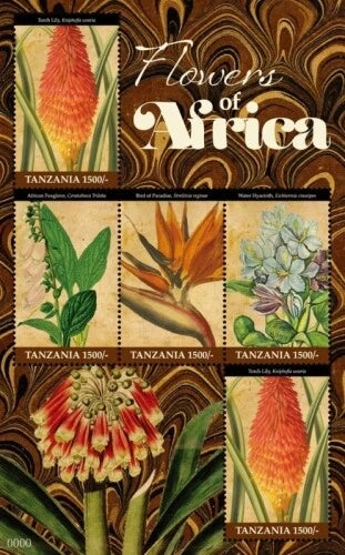 Tanzania 2011 - Flowers of Africa, Hyacinth, Lily - Sheet of 5v - 2624 - MNH Lily