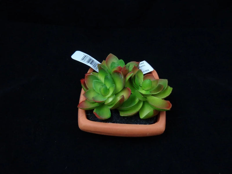 Faux Potted Triple Succulent Plant by Ashland Spring Garden Planter Green Plant