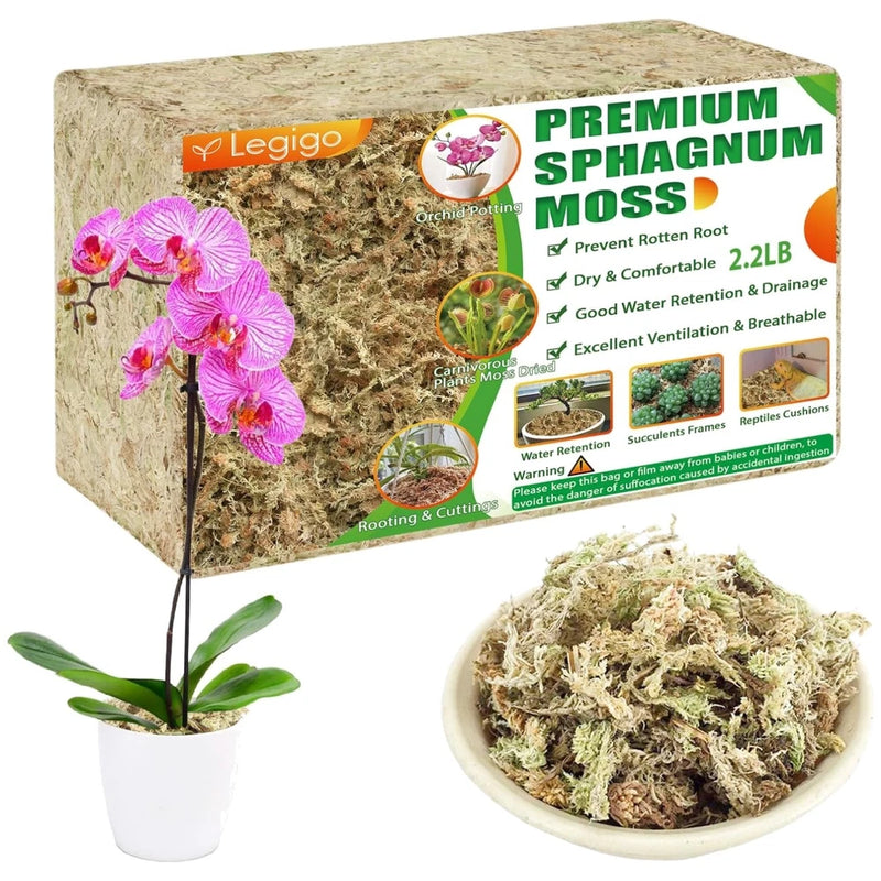 Dried sphagnum moss for orchids, with potted orchid plant and moss bowl