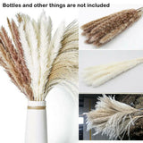 60PCS Pampas Grass Natural Dried Reed Flower Bunch Bouquets Home Wedding Decor Flowering Plants