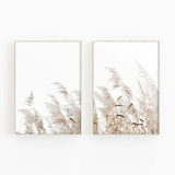 Set of 2 Pampas Grass Rustic Style Wild Floral Wall Art Prints. Great Home Decor Pampas Grass