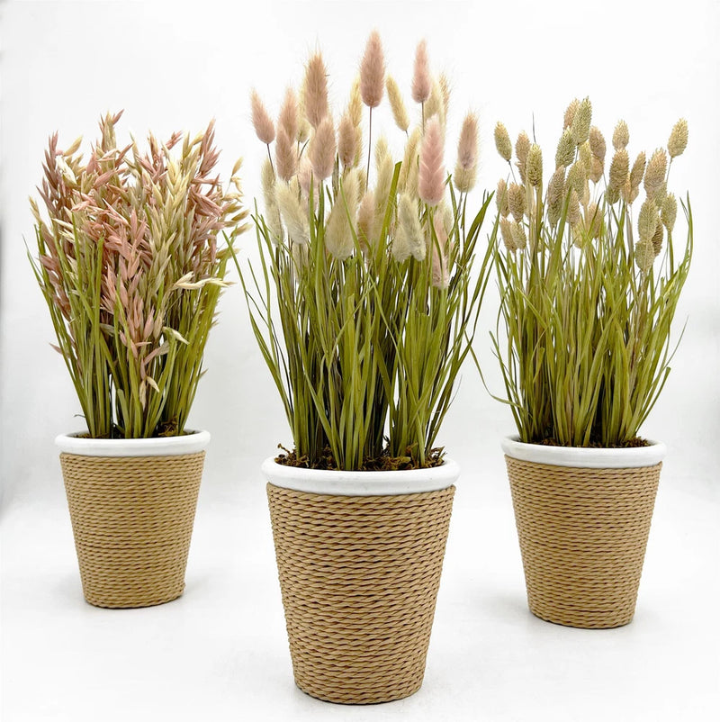 Bergamo Art Preserved Decorative Rustic Oat Canary Pampas Grass Ceramic Pot Set Pampas Grass