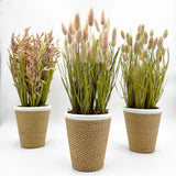 Bergamo Art Preserved Decorative Rustic Oat Canary Pampas Grass Ceramic Pot Set Pampas Grass