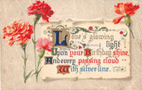 Pretty Carnations by Motto on 1910 Birthday Postcard Carnation