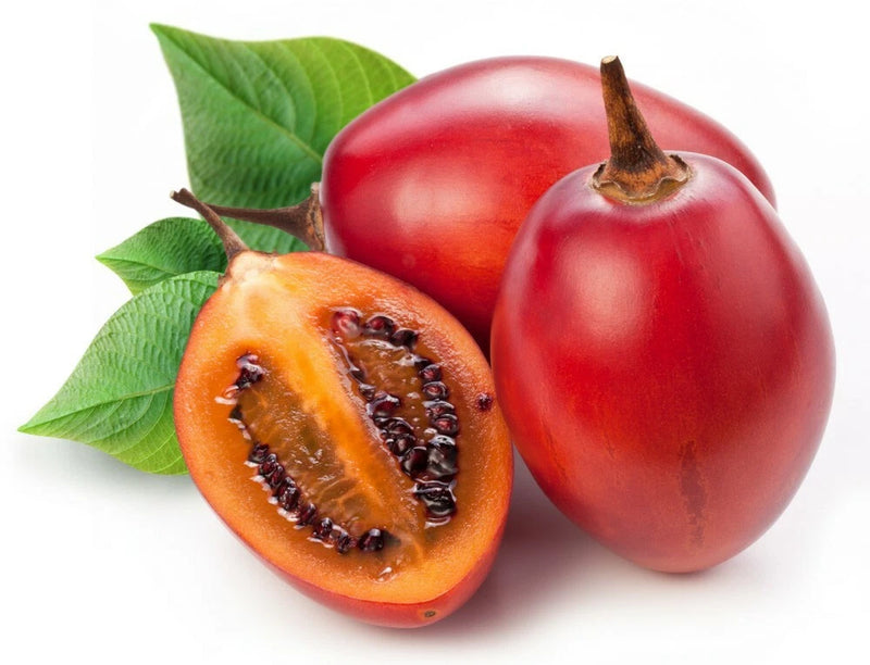 25+ Red Tamarillo Seeds ~Solanum becateum~ Cyphomandra becatea ~ Tree Tomato Flowering Plants