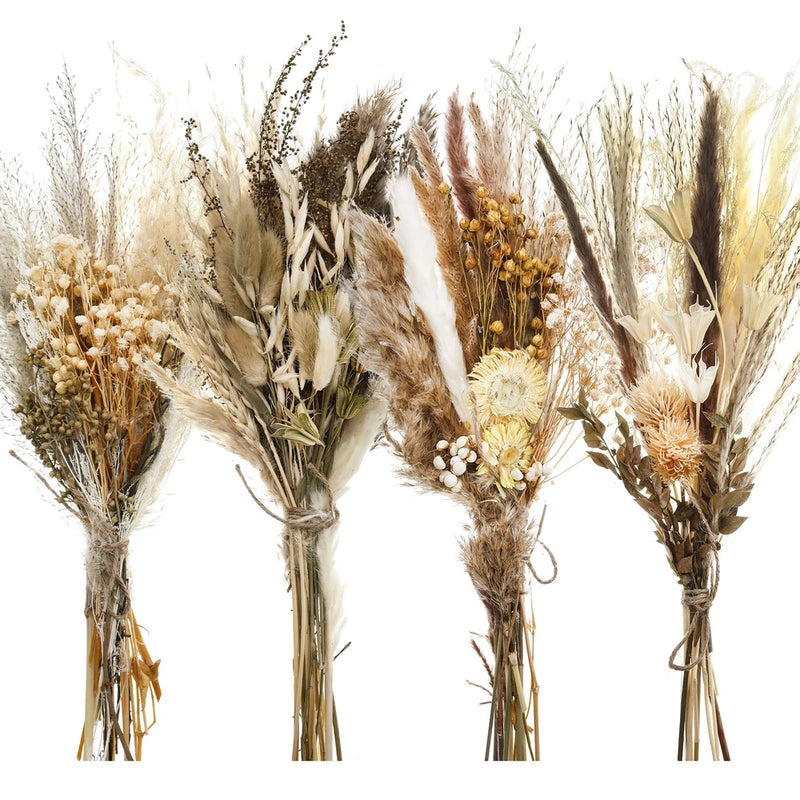 Boho dried flower bouquet set of 4, beige and brown grasses with small blooms