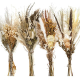 Layhit 4 Pack Large Size Boho Dried Flower Bouquet 15-17 As Picture Shown Dried Flower