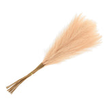 20Pcs Faux Pampas Grass,21"/55cm Fake Pampas Grass Decor,Dark Beige Pampas Grass