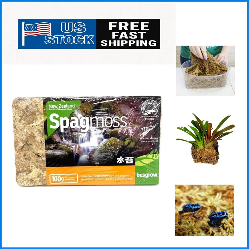 New Zealand Sphagnum Moss - 100g for Orchid Growth & Moisture Retention Orchids