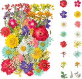 Dried Flowers,  40PCS Real Pressed Flowers, Dried Flowers for Resin, Dried Flowe Dried Flower