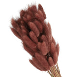 15.7in Bunny Tails Dried Flowers, 80pcs Pampas Grass Decor Rabbit Tail, Brown Dried Flower