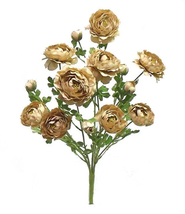 Ranunculus Bush 5 Stems 22in Beige Ranunculus