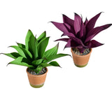 Real Touch Artificial Agave Plants Set of 2, Lifelike Faux Succulent in Pot D... Green Plant