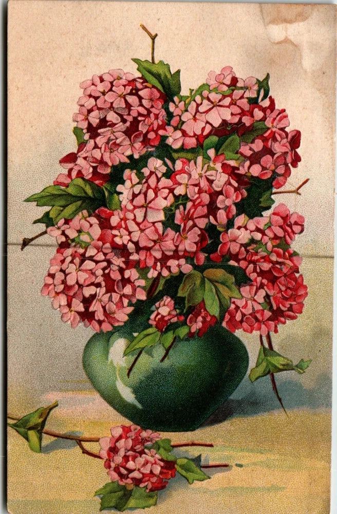 Vintage Pink Hydrangea Flower Bouquet Postcard Hydrangea