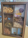 VINTAGE Country Dried Flowers, Grain, Butterfly Shadowbox  Wood Frame Love Dried Flower