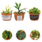 3 Pcs DIY Micro Garden Flowers Artificial Tiny Greenery Ornament Garden Plants