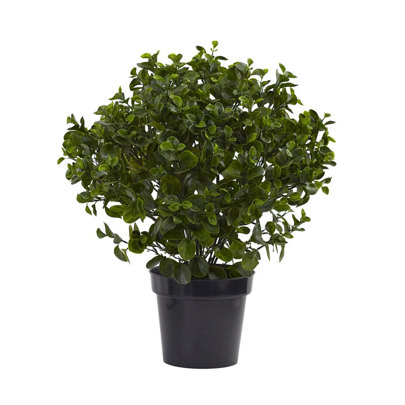 Nearly Natural Peperomia Plant UV Resistant (Indoor/Outdoor) 28 Inch Garden Plants