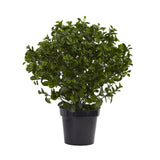 Nearly Natural Peperomia Plant UV Resistant (Indoor/Outdoor) 28 Inch Garden Plants