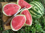 25+ CRIMSON SWEET WATERMELON FRESH FOR GARDENS NON - GMO Garden Plants