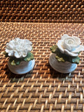 Aynsley English Fine Bone China Dainty Rose Salt & Carnation Pepper Shaker Set Carnation
