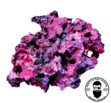 ARK Ocean Dreams Dry Reef Rock Aragonite, Aquariums Live Anemone