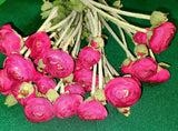 Ranunculus Flowers Artificial 12 Stems 22