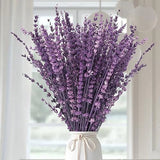 Dried Purple Lavender Flowers Bundle-Dried Preserved Lavender Purple-1.76oz Dried Flower