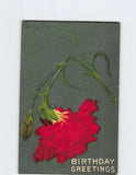 Postcard Vintage Postcard - Birthday Greetings with Red Carnation Flower Carnation