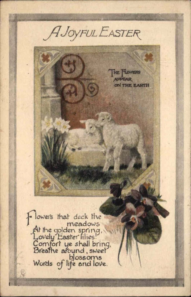 Easter Lamb Sheep Lily Flowers Poem Tuck Colored Crayon c1900s-10s Postcard Lily