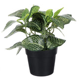 Simulated Rattan Small Potted Plant Realistic Plants Indoor Faux Green Fake Green Plant
