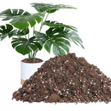 3.2QT Monstera Soil Potting Mix - Natural Organic Tropical Plant 3.2 Quarts Orchids