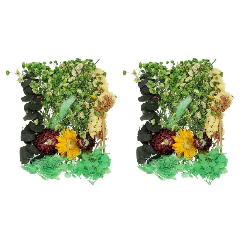 Set of pressed dried flowers with green blooms, yellow and orange accents on black backing