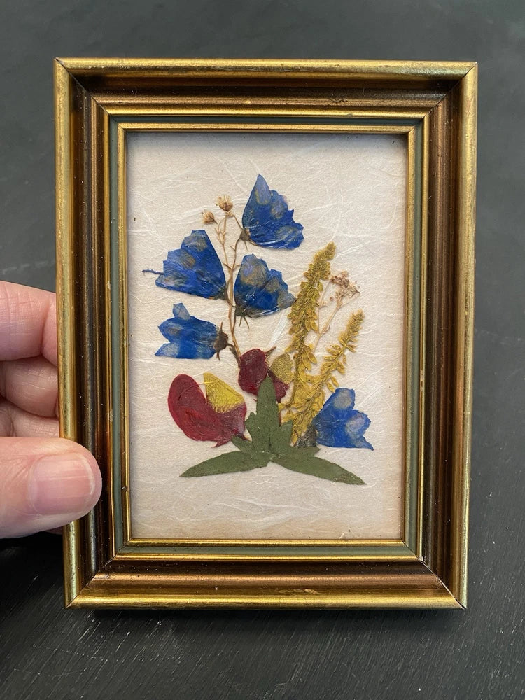 Pressed flower artwork in a gold frame with blue blossoms and dried green stems