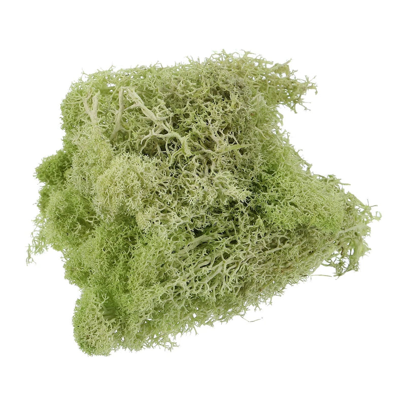 7 OZ Fake Moss Preserved Moss with Box for Potted Plants, Light Yellow Green Green Plant