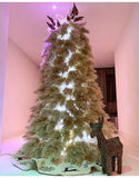Pampas christmas tree | Pampas xtree | pampasgrass christmastree Pampas Grass